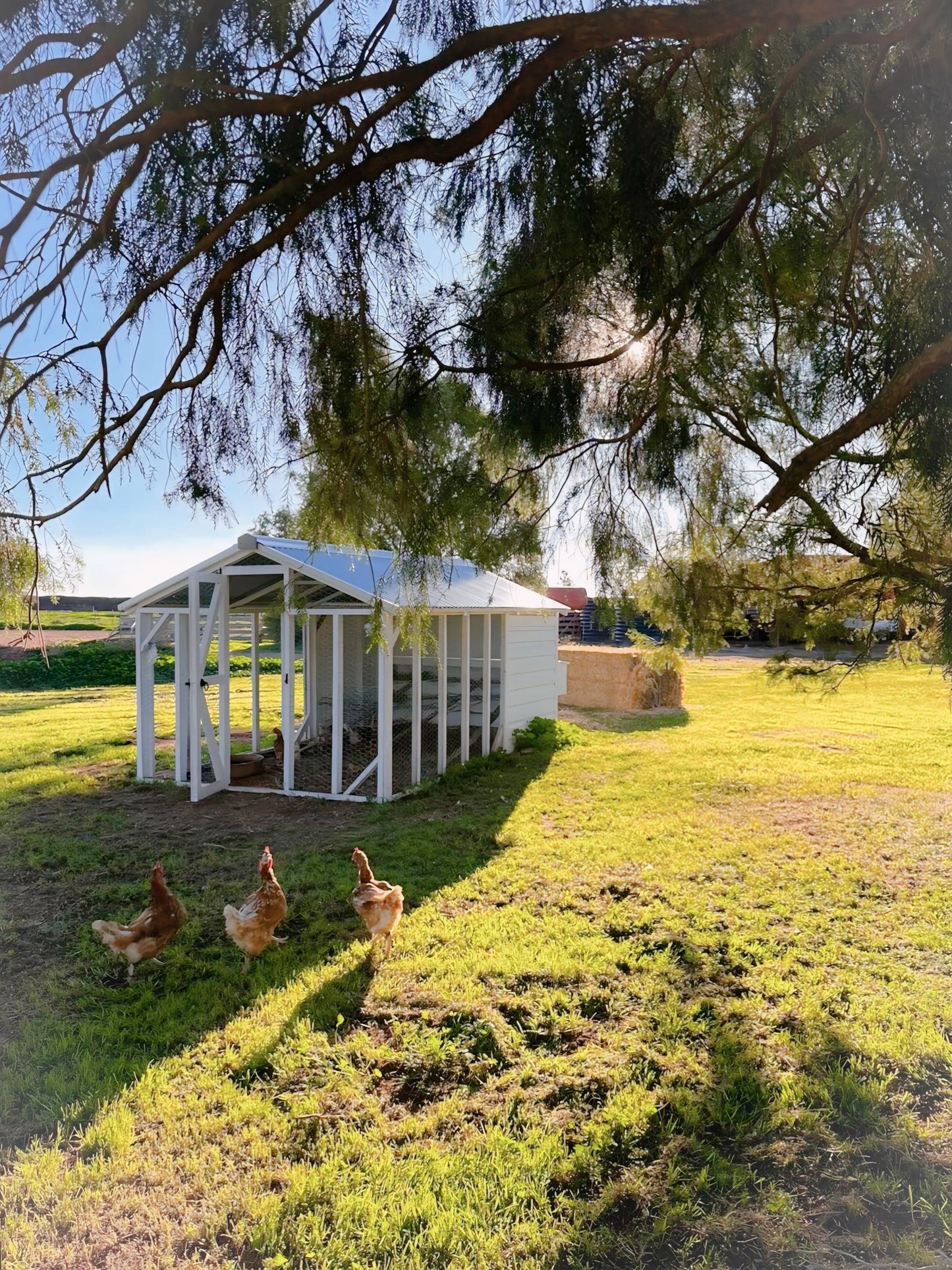Hamptons Hen House