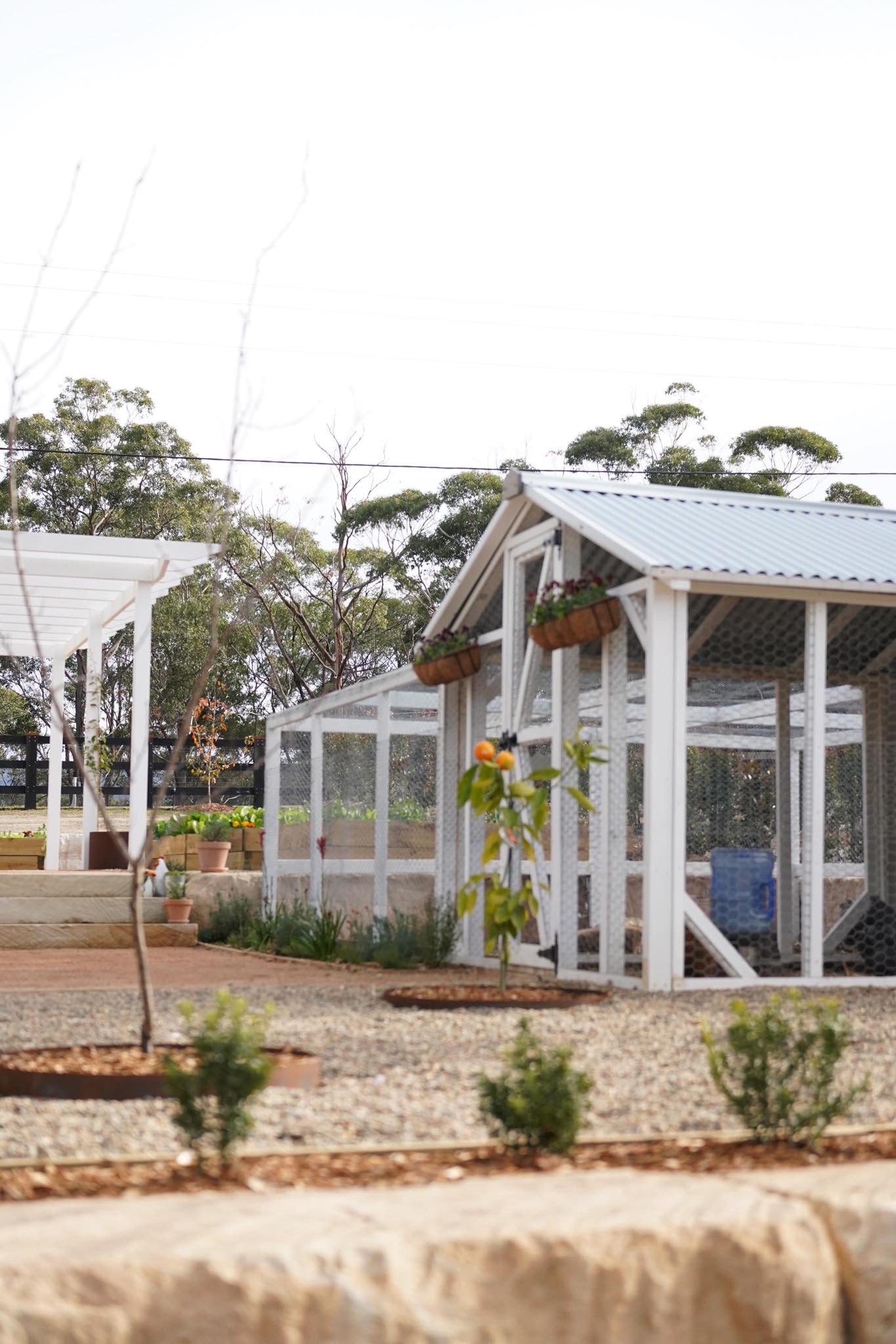 Hamptons Hen House