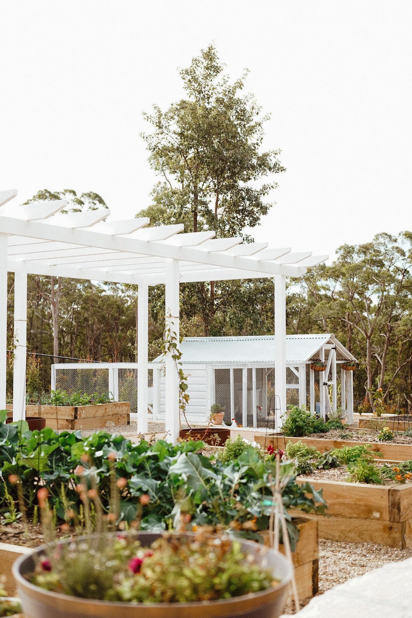 Hamptons Hen House
