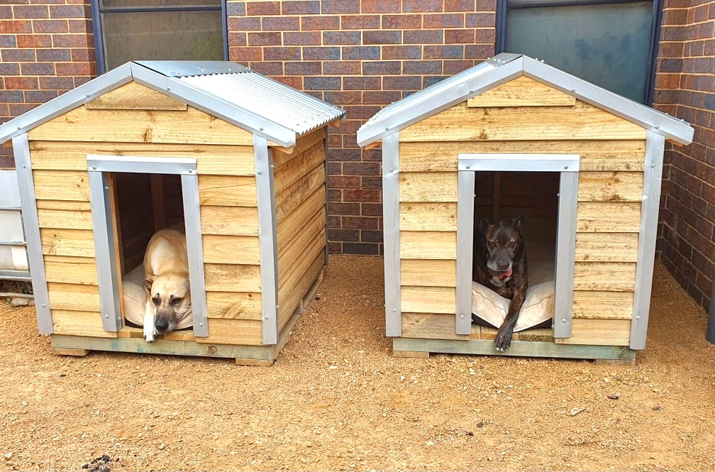 XL Heavy Duty Dog Kennel