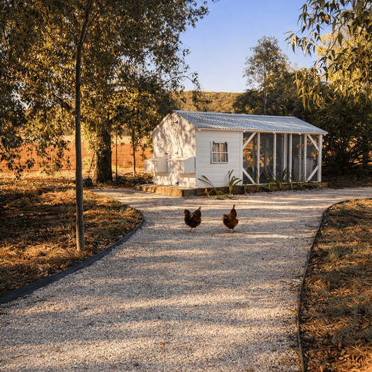 Two chickens walking on a gravel path in front of a white shed with a green roof, surrounded by trees and open space.